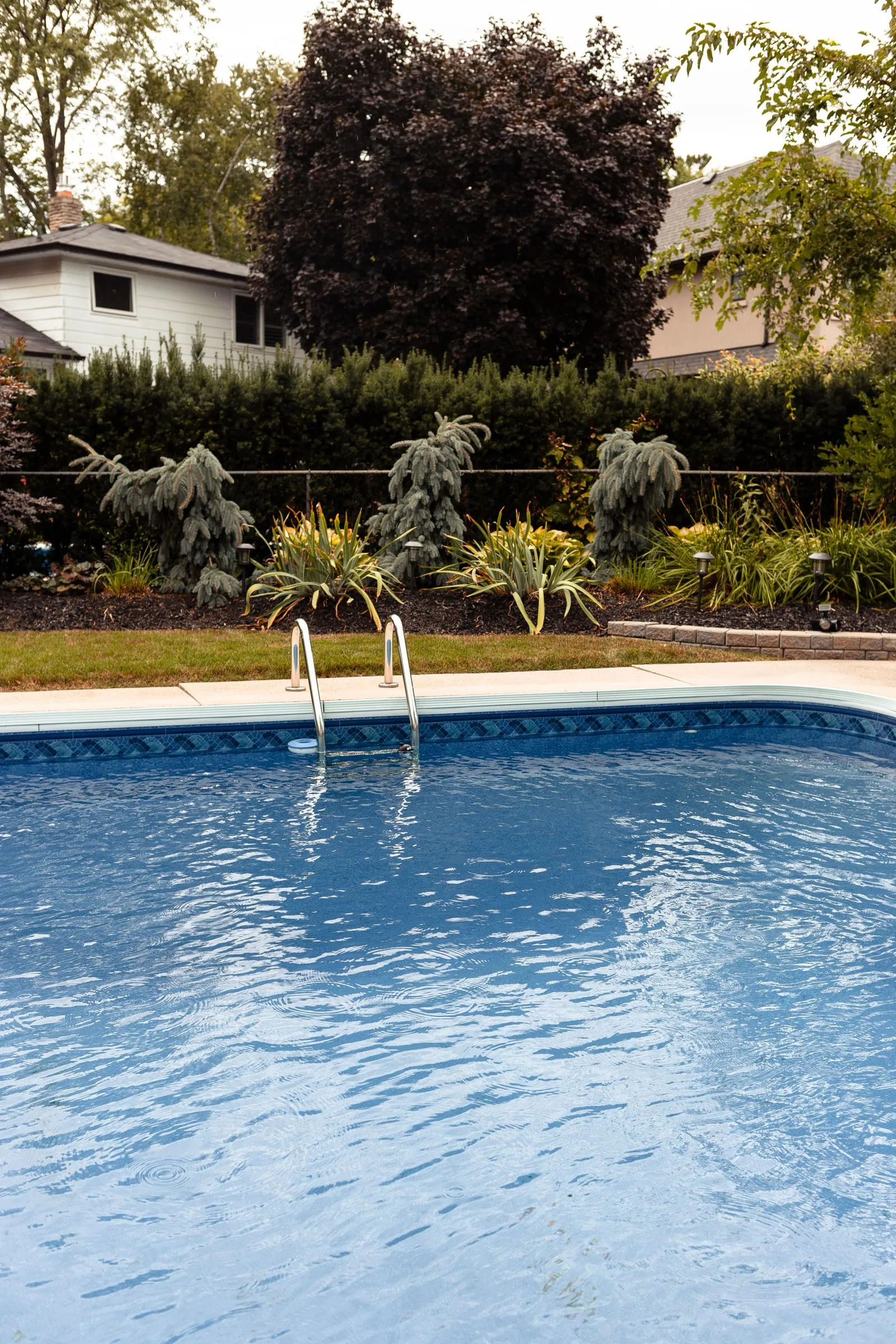 A landscaped Melbourne backyard pool